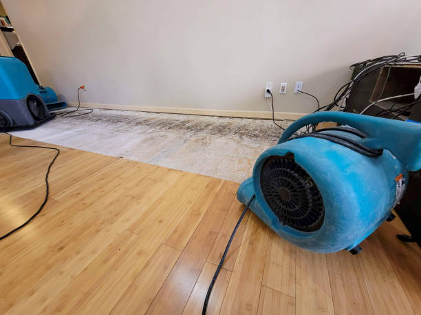 Professional Sewage Cleanup technician working in Philo, IL